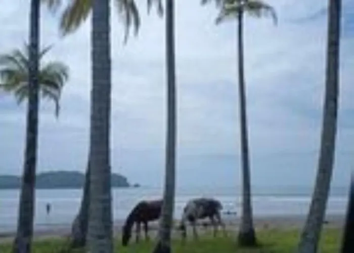 Blue Zone Cozy Peaceful Getaway Сasa de vacaciones